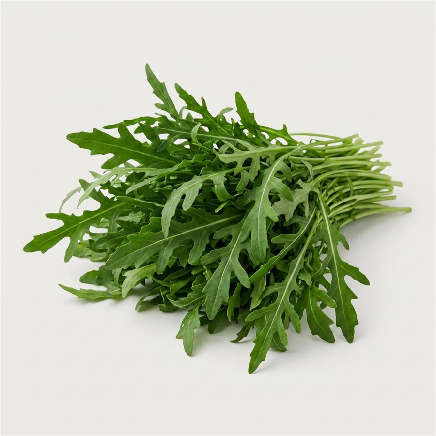 芝麻葉商品照片