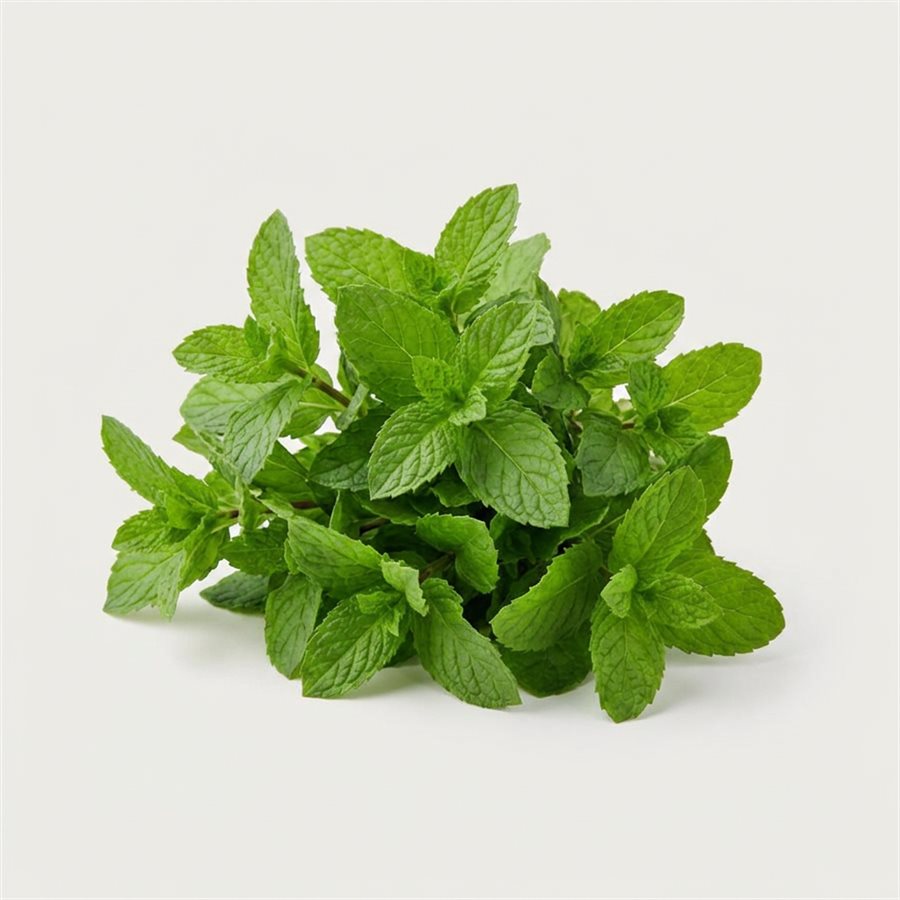 薄荷商品照片