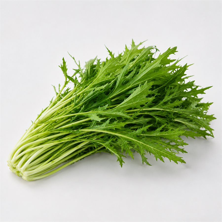 京水菜商品照片