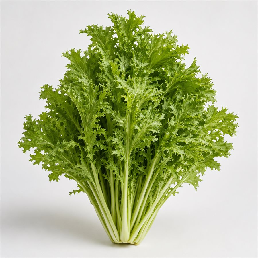蕾絲芥末菜商品照片